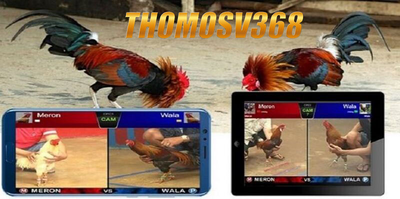 Các phương thức Nạp tiền Thomosv368 phổ biến nhất hiện nay